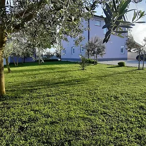 villa-zeus-pula.in-istria.net/